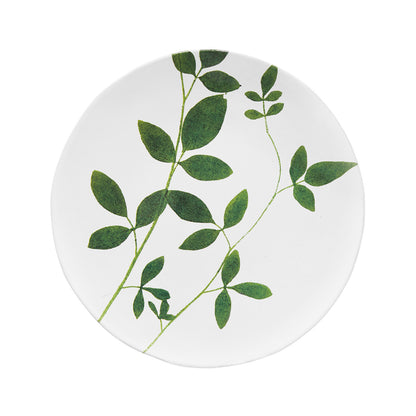 John Derian Medium Jasminum Plate, set of 6 by Astier de Villatte, official product view