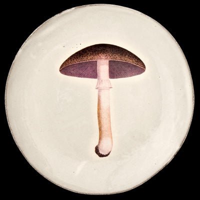 Medium Mauve Champignon Comestible Plate, John Derian | Astier de Villatte: Exclusive Pre-Order Item - Bon Ton goods