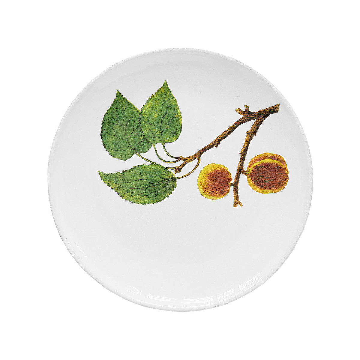 John Derian Medium Plum Plate, set of 6 by Astier de Villatte, official product view