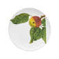 John Derian Medium Qince Plate, set of 6 by Astier de Villatte, official product view