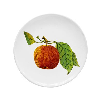 John Derian Medium Red Apple Plate, set of 6 by Astier de Villatte, official product view