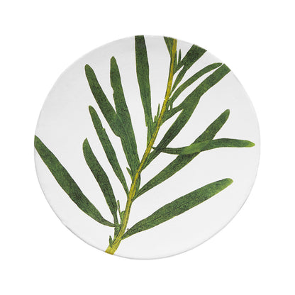 John Derian Medium Reseda Plate, set of 6 by Astier de Villatte, official product view
