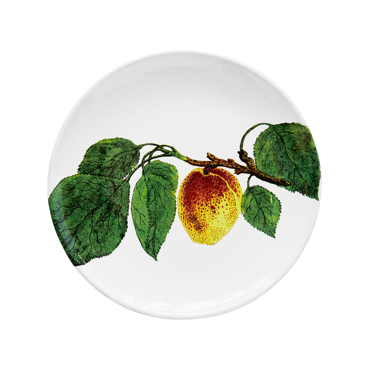 John Derian Medium Spotted Plum Plate, set of 6 by Astier de Villatte, official product view