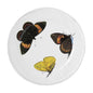 John Derian Medium Three Butterflies Plate, set of 6 by Astier de Villatte, official product view