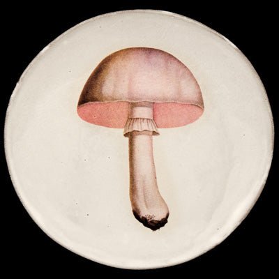 Medium White Champignon Comestible Plate, John Derian | Astier de Villatte: Exclusive Pre-Order Item - Bon Ton goods