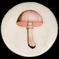 Medium White Champignon Comestible Plate, John Derian | Astier de Villatte: Exclusive Pre-Order Item - Bon Ton goods