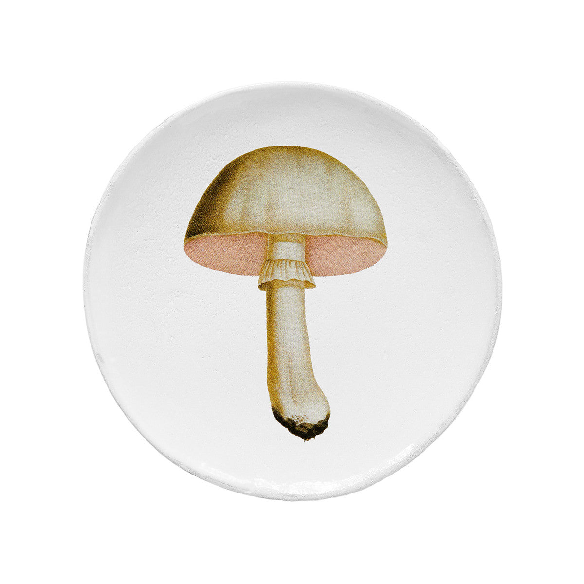 Medium White Champignon Comestible Plate, John Derian by Astier de Villatte, official product view 1