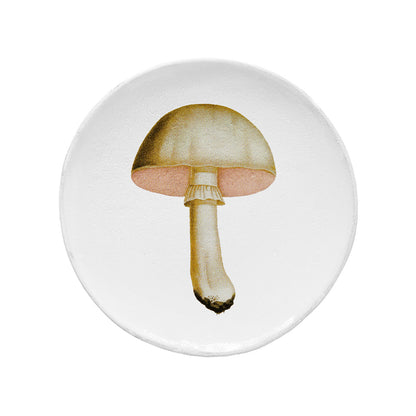 Medium White Champignon Comestible Plate, John Derian by Astier de Villatte, official product view 1
