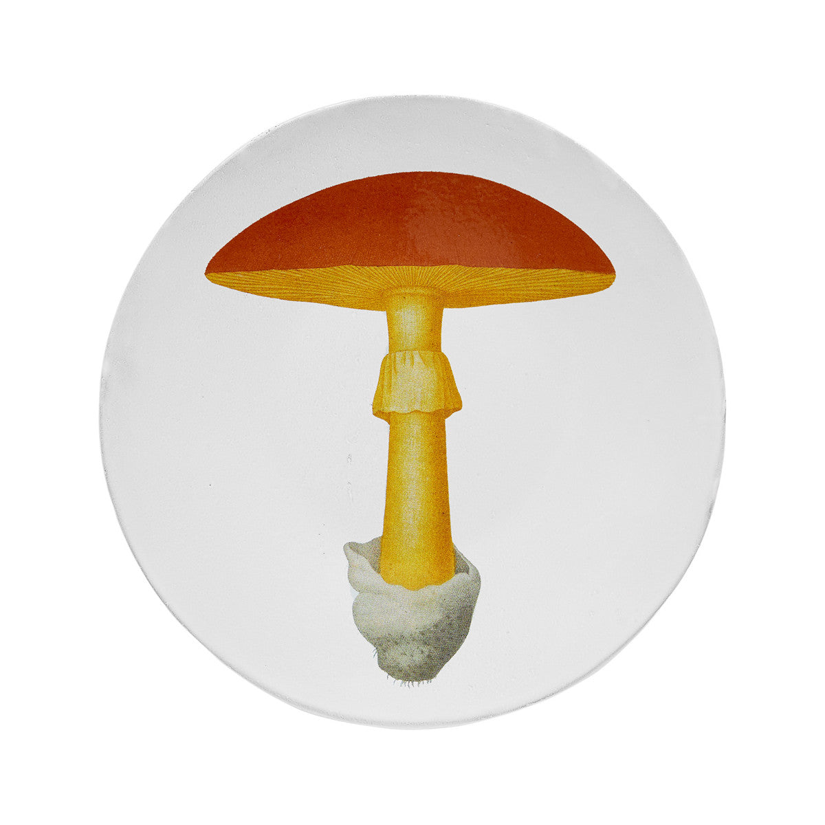 John Derian Medium Yellow Agaric Oronge Plate, set of 6 by Astier de Villatte, official product view