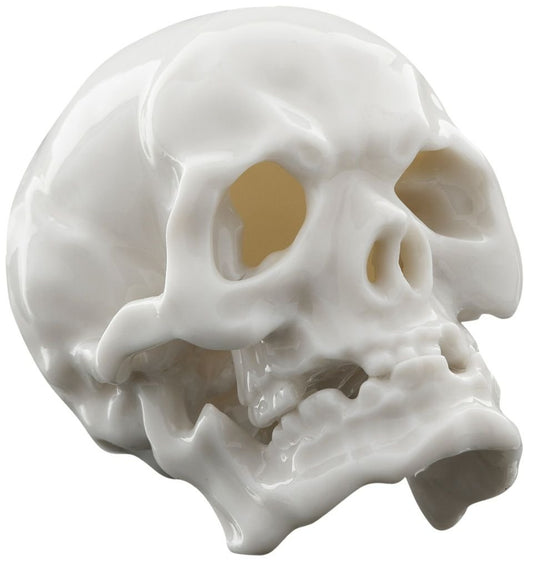 Memento Mori Skull - Bon Ton goods