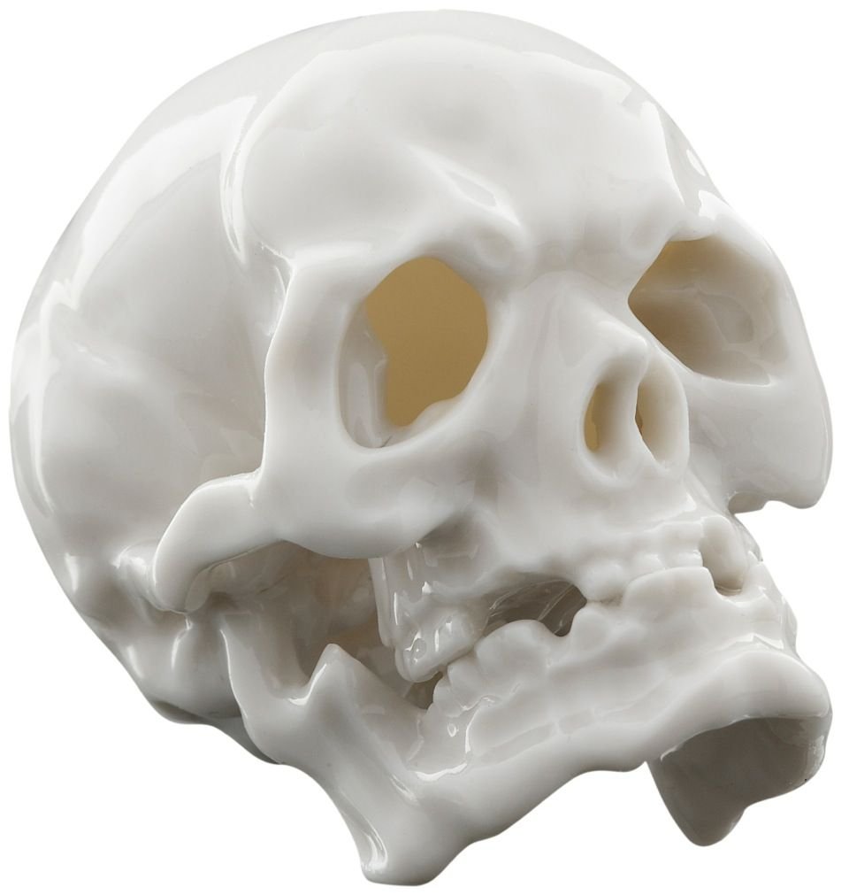 Memento Mori Skull | Nymphenburg Porcelain - Bon Ton goods