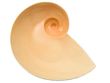 Load image into Gallery viewer, Moon Snail Bowl - Bon Ton goods
