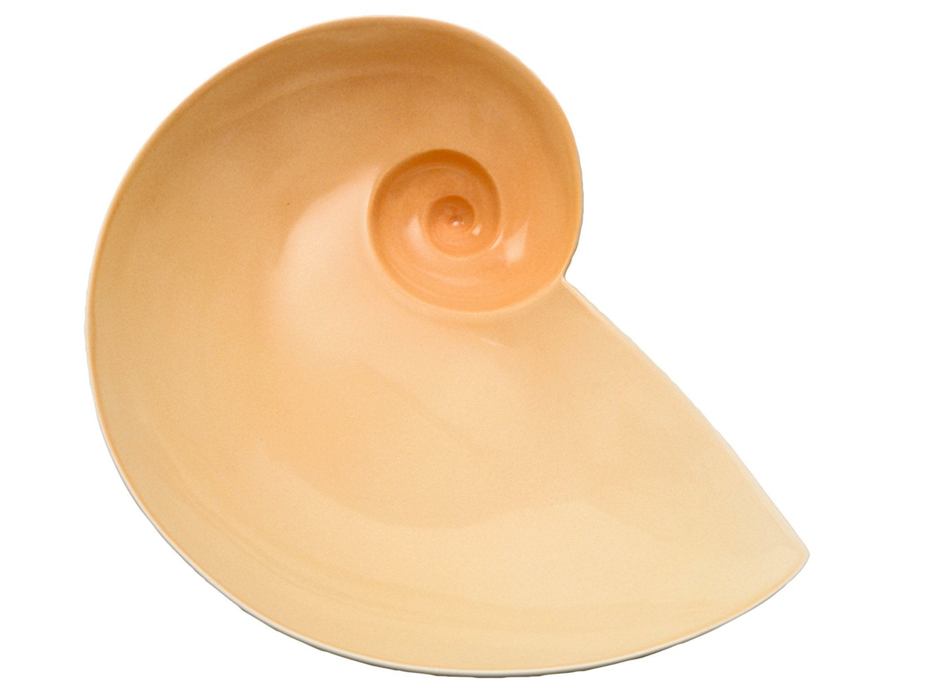 Moon Snail Bowl | Ted Muehling - Bon Ton goods