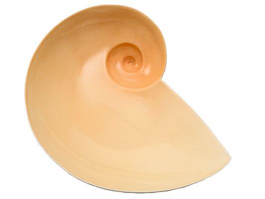 Moon Snail Bowl | Ted Muehling - Bon Ton goods