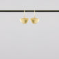 Moths - Bon Ton goods