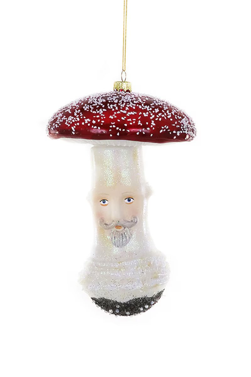Mushroom Fellow Glass Ornament - Bon Ton goods
