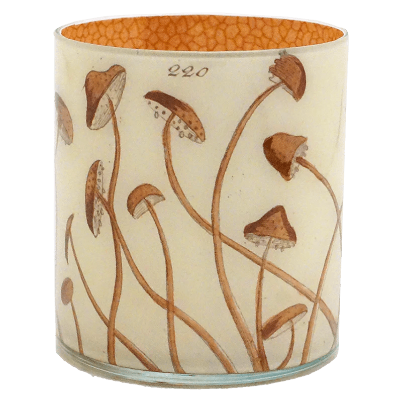 Mushrooms - Desk Cup | John Derian - Bon Ton goods