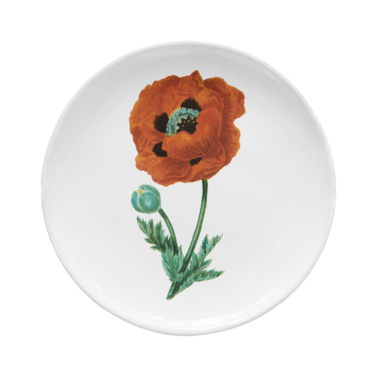 John Derian Orange Flower Dinner Plate, set of 6 by Astier de Villatte, official product view