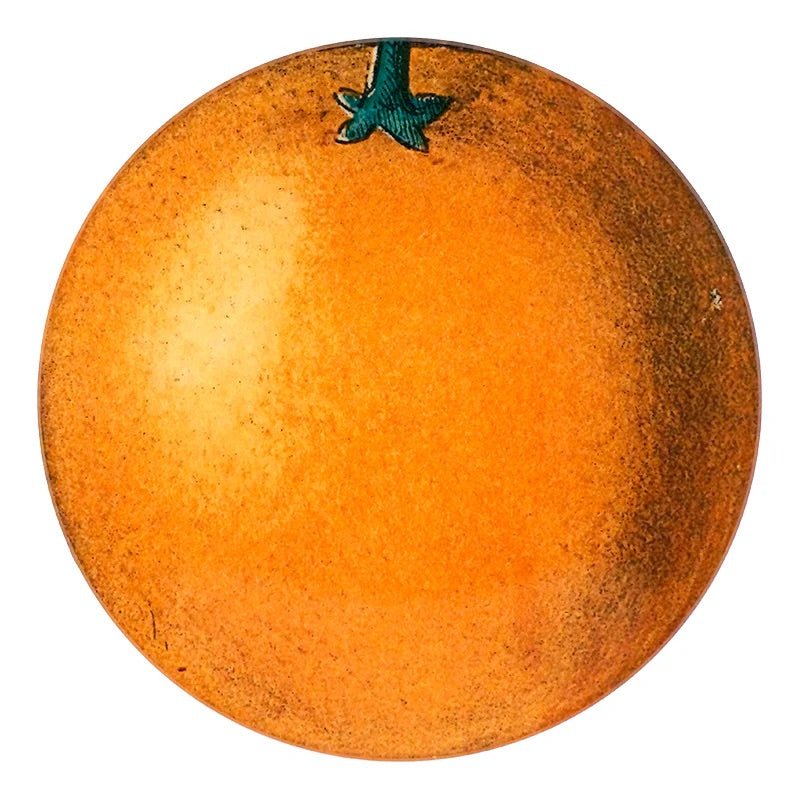 Orange | John Derian - Bon Ton goods