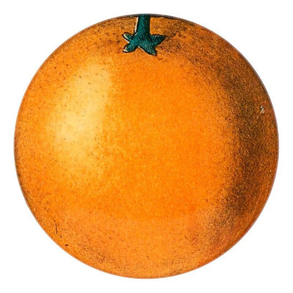 Orange | John Derian - Bon Ton goods
