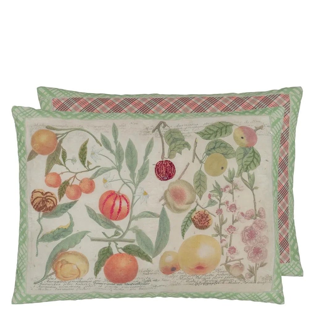 Oranges Canvas Cushion | John Derian - Bon Ton goods