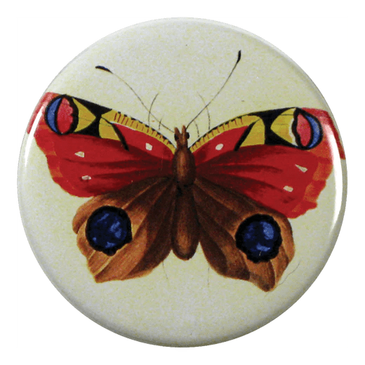 Painted Papillon - Mirror & Button Pins | John Derian - Bon Ton goods