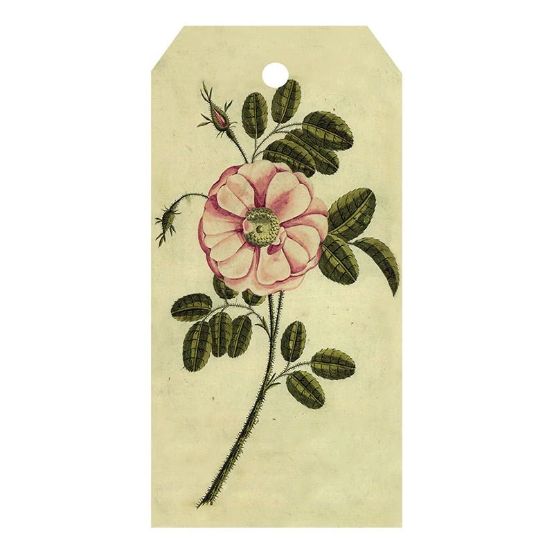 Painted Rose - Gift Tags - Bon Ton goods
