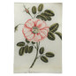 Painted Rose - La Rose | John Derian - Bon Ton goods