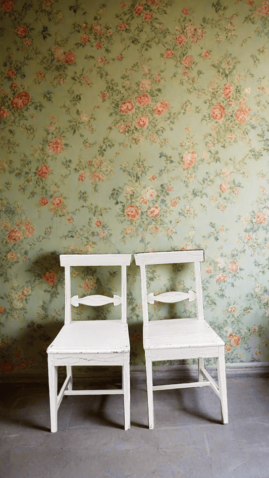 Pair of Vintage Painted Wooden Chairs - Bon Ton goods
