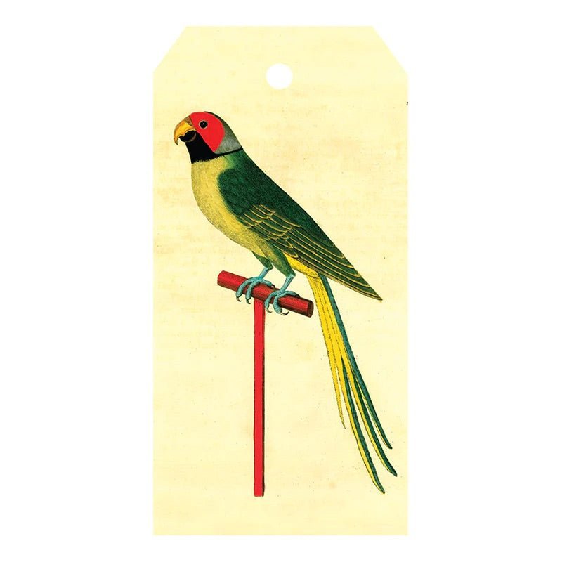 Paroquet from Bengal - Gift Tags - Bon Ton goods