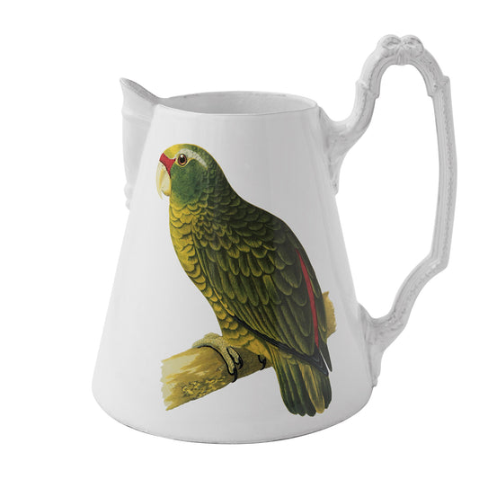 Parrot Pitcher, John Derian | Astier de Villatte: Exclusive Pre-Order Item - Bon Ton goods