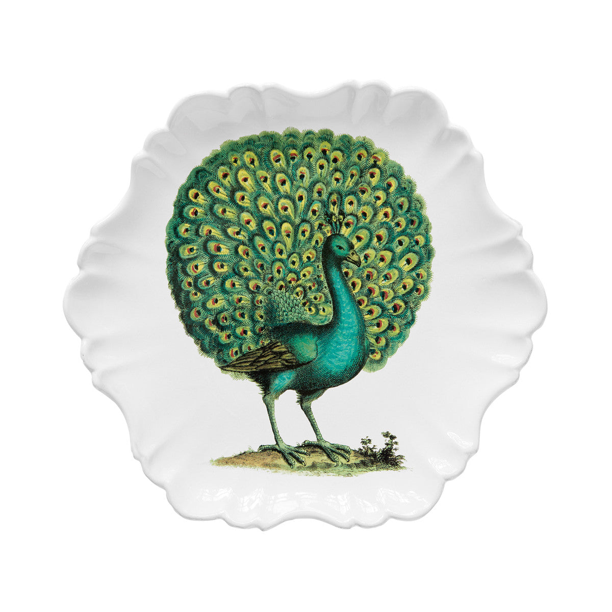 John Derian Peacock Dinner Plate, set of 6 by Astier de Villatte, official product view