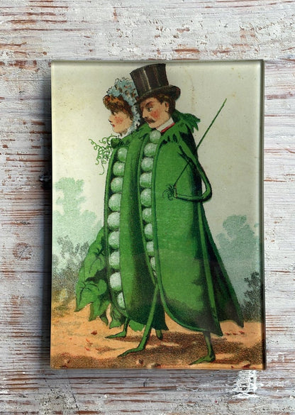 Peas in a Pod | John Derian - Bon Ton goods