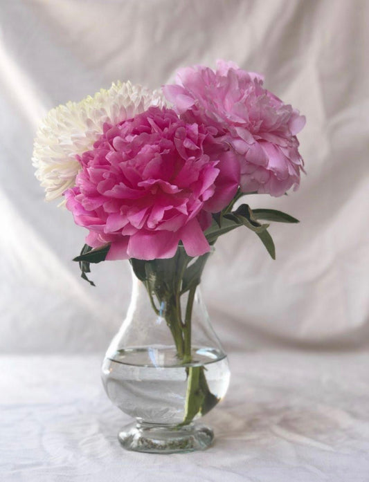 Pichet | La Soufflerie - Bon Ton goods
