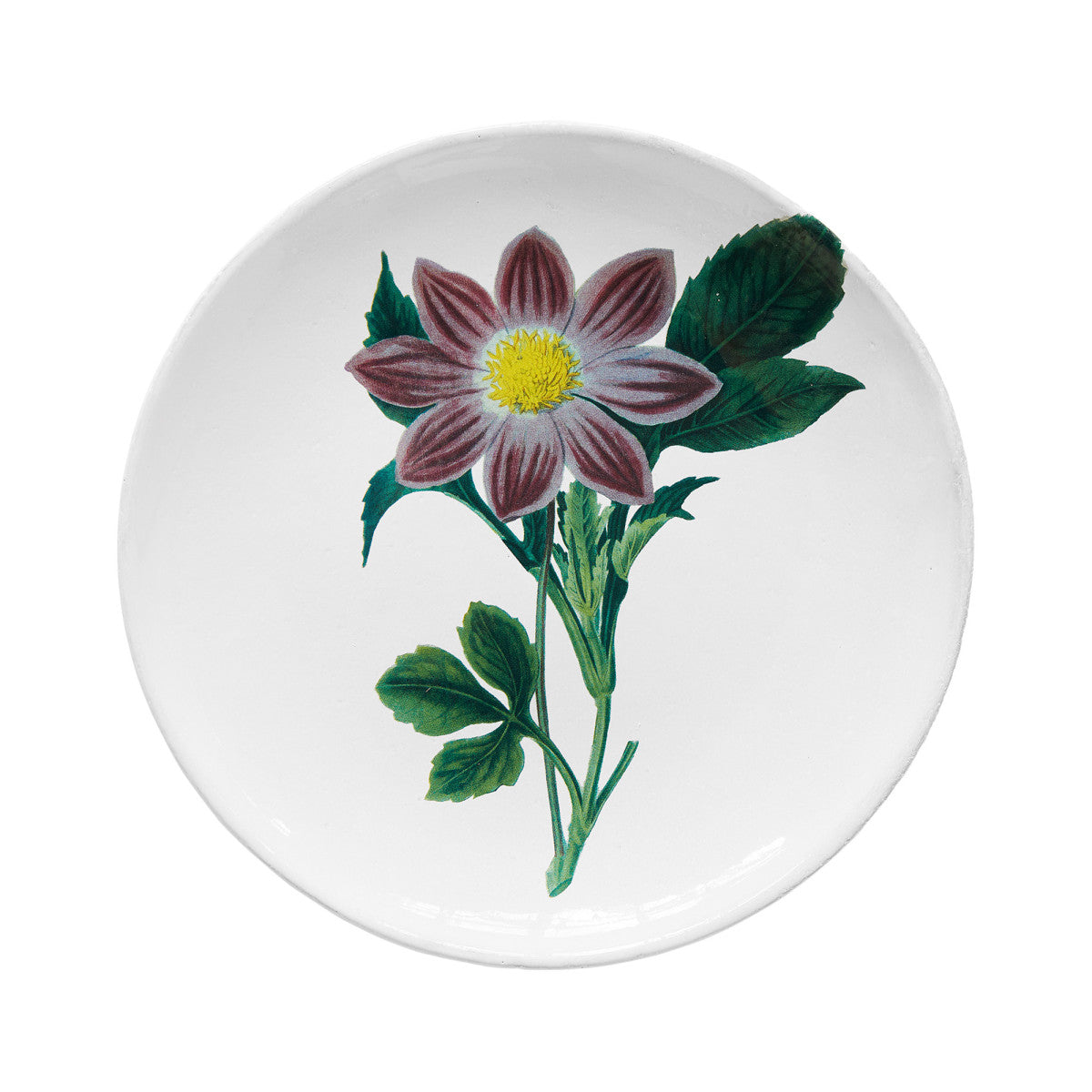 John Derian Pink Flower Dinner Plate, set of 6 by Astier de Villatte, official product view