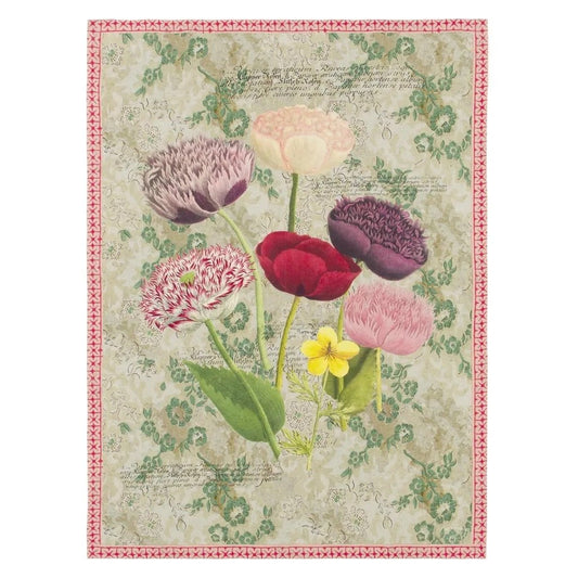 Poppy Study Violet Throw | John Derian - Bon Ton goods