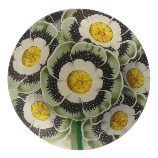 Primrose | John Derian - Bon Ton goods