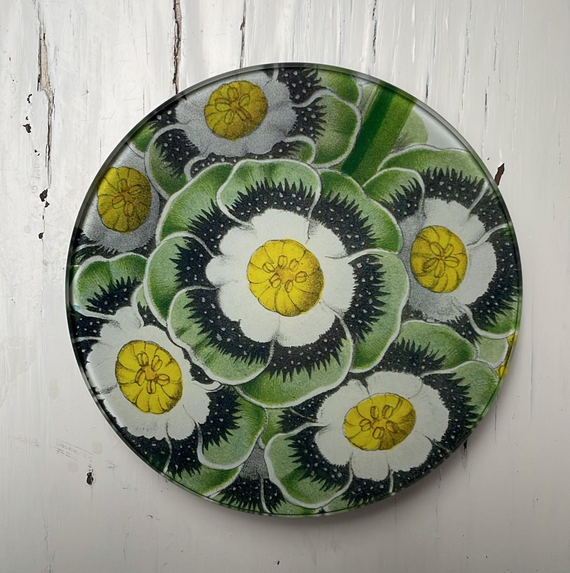 Primrose | John Derian - Bon Ton goods