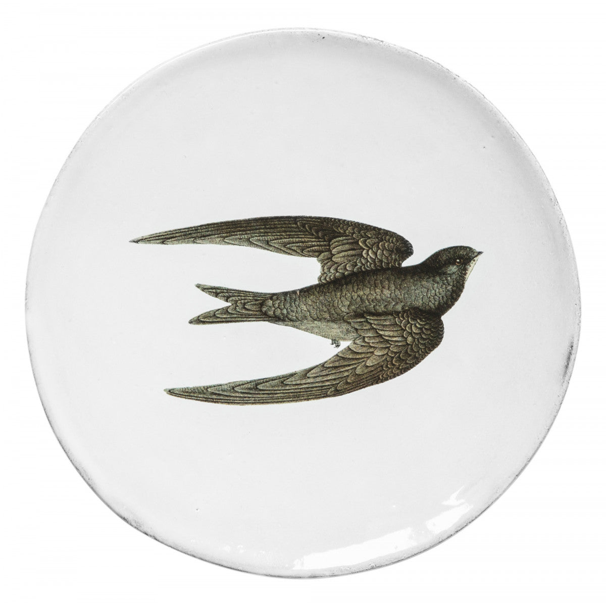 Small Ladybug Soup Plate by Astier de Villatte, official product view 4