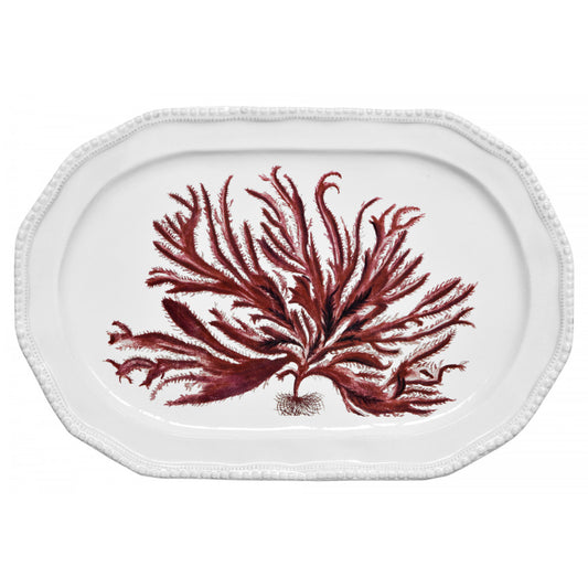 Red Seaweed Platter by Astier de Villatte
