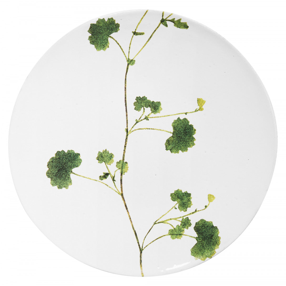 John Derian Medium Othona Plate, set of 6 by Astier de Villatte, official product view