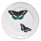 John Derian Medium Two Flying Butterflies Plate, set of 6 by Astier de Villatte, official product view