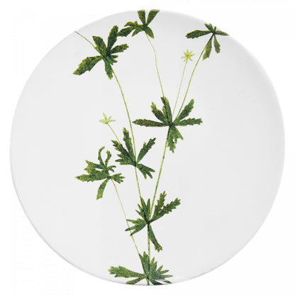 John Derian Medium Tormentilla Plate, set of 6 by Astier de Villatte, official product view