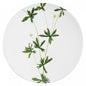 John Derian Medium Tormentilla Plate, set of 6 by Astier de Villatte, official product view
