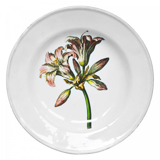 John Derian Bella Donna Lily Soup Plate, set of 6 by Astier de Villatte, official product view