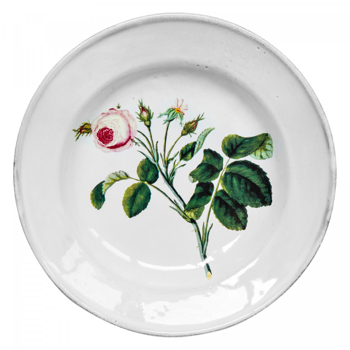 John Derian Rose Soup Plate, set of 6 by Astier de Villatte, official product view