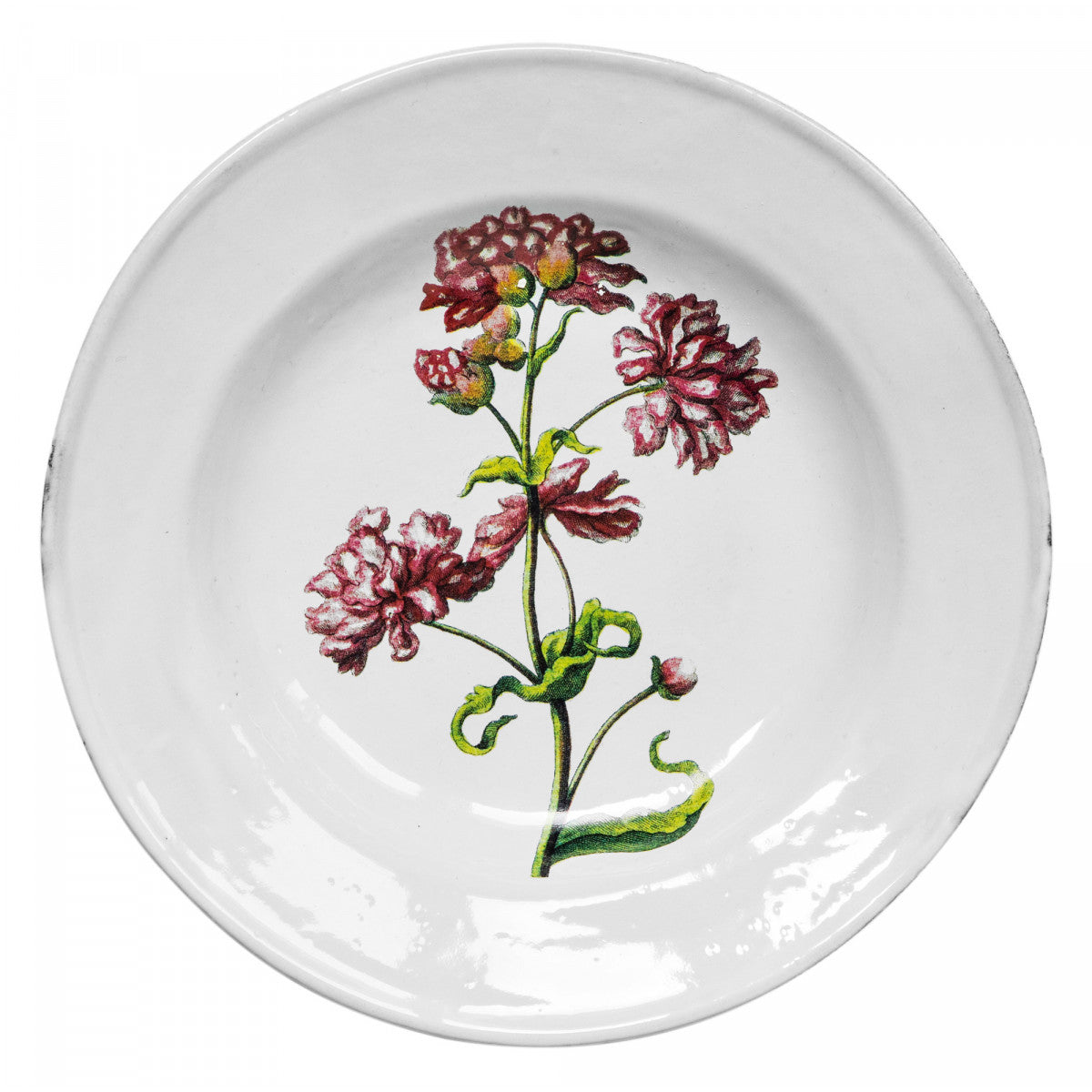 John Derian Double Catch Fly Soup Plate, set of 6 by Astier de Villatte, official product view
