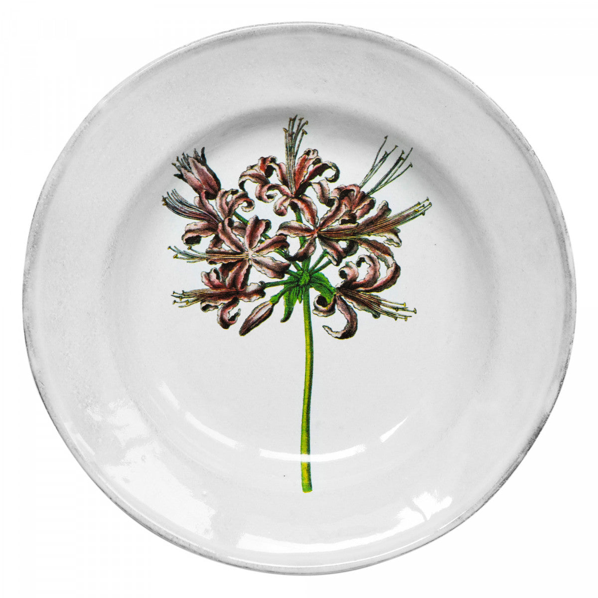 John Derian Guernsey Lily Soup Plate, set of 6 by Astier de Villatte, official product view