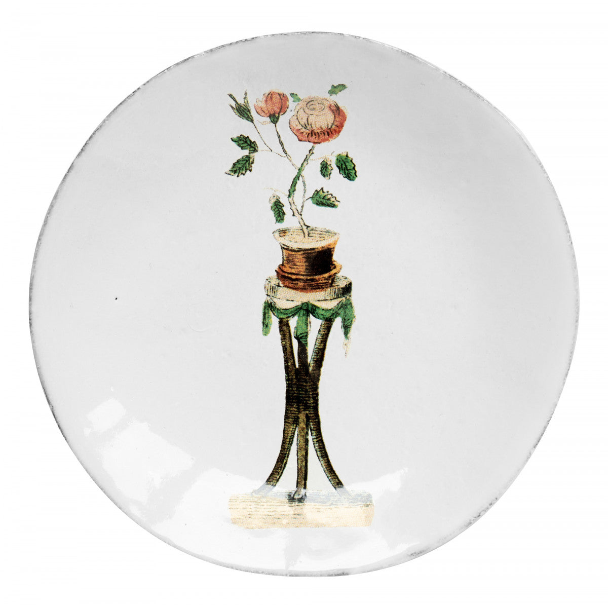 John Derian Small Rosebush Plate, set of 6 by Astier de Villatte, official product view