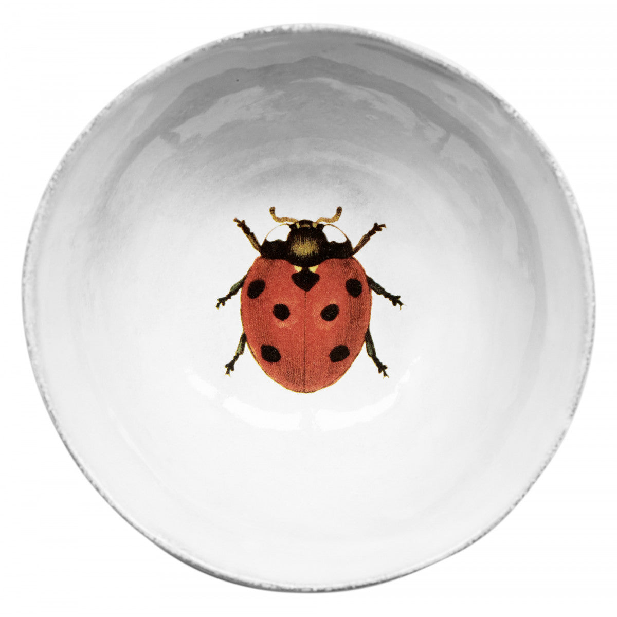 Small Ladybug Soup Plate by Astier de Villatte, official product view 1